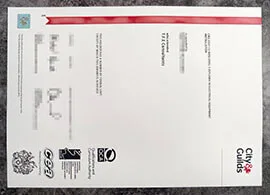 purchase realistic City & Guilds NVQ Level 3 Diploma in Electrical