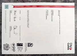 purchase realistic City & Guilds NVQ Level 3 Diploma