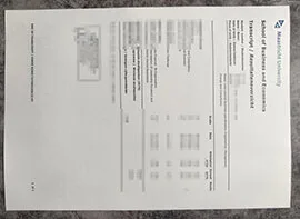 purchase realistic Maastricht University Transcript