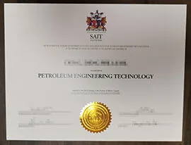 Fast Delivery for Sait Polytechnic Diploma Online