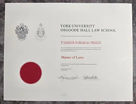 purchase realistic York University degree